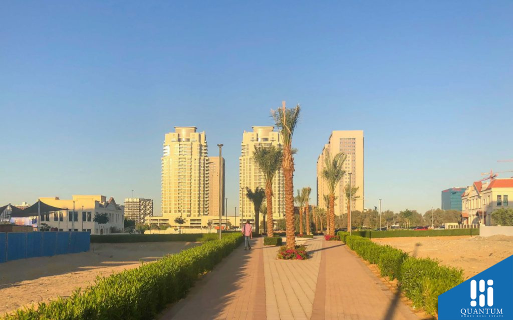 أشجار النخيل التي تزين المنطقة
