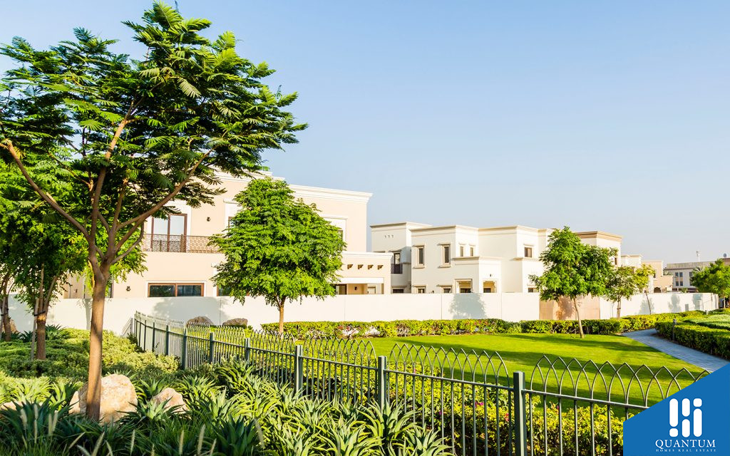حديقة