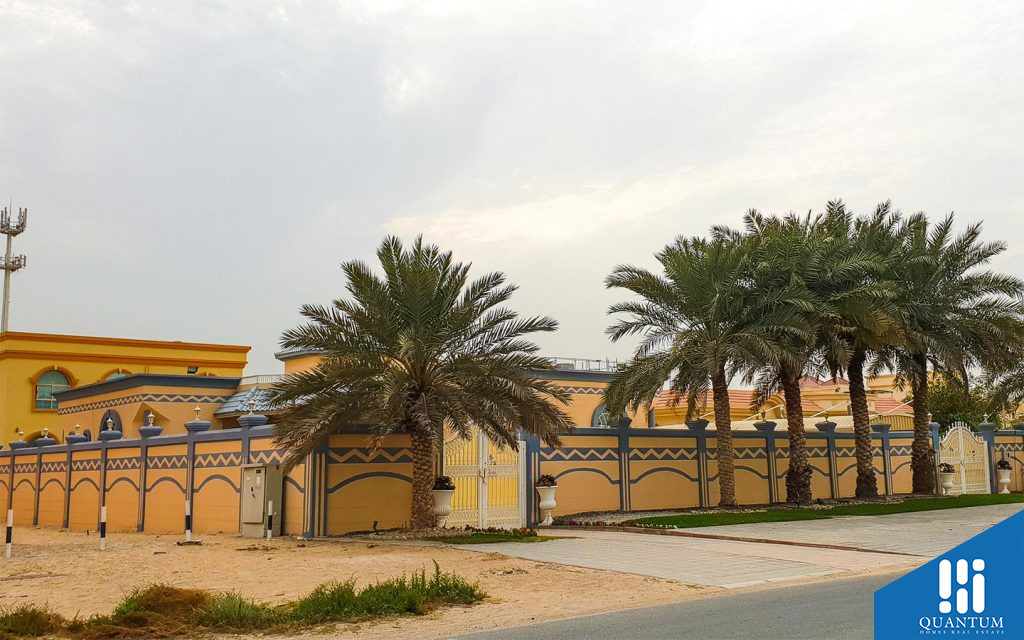 أشجار نخيل تحيط المباني السكنية
