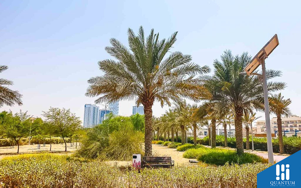 ميرابيلا 7
