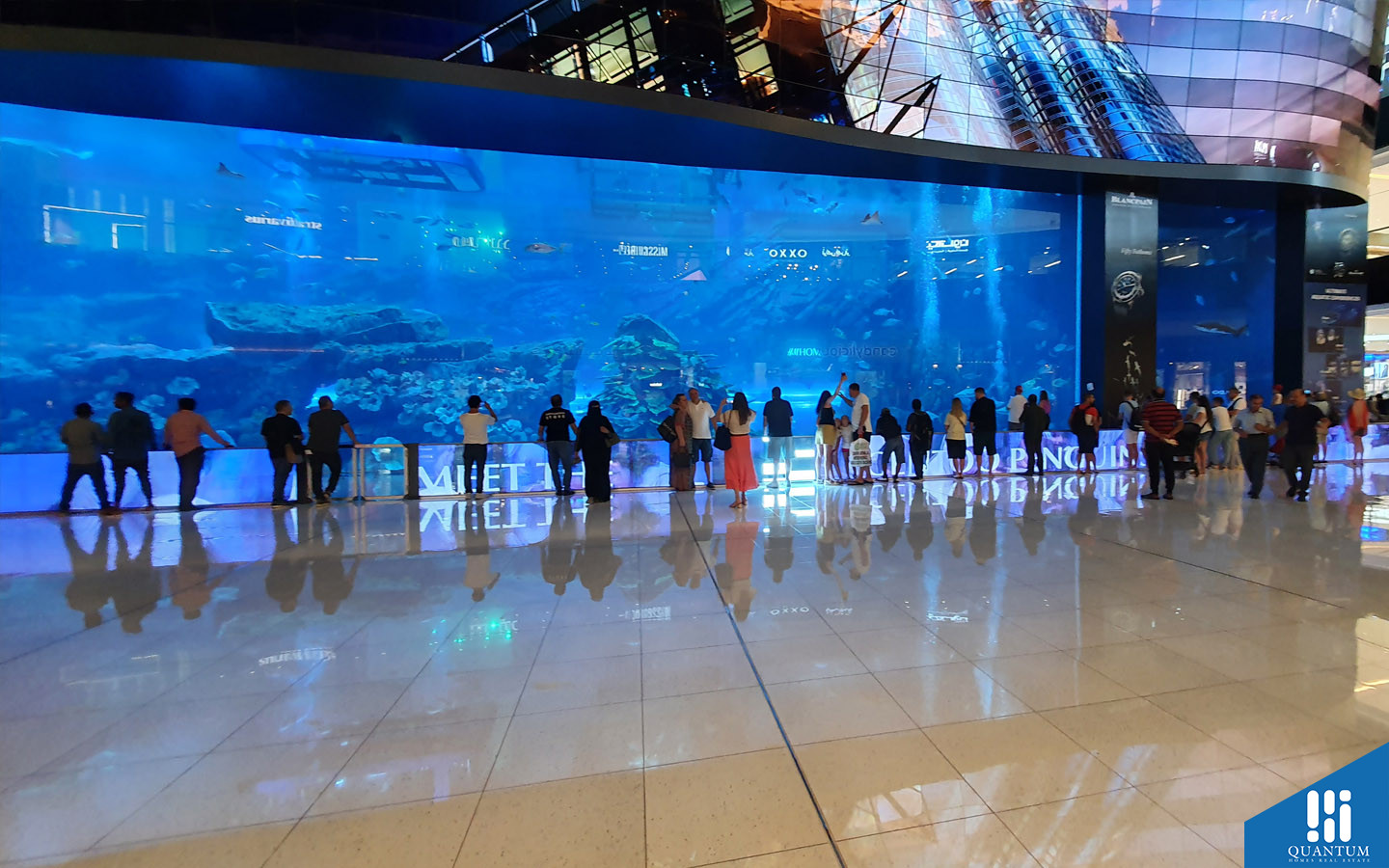 inside of Dubai Aquarium & Underwater Zoo