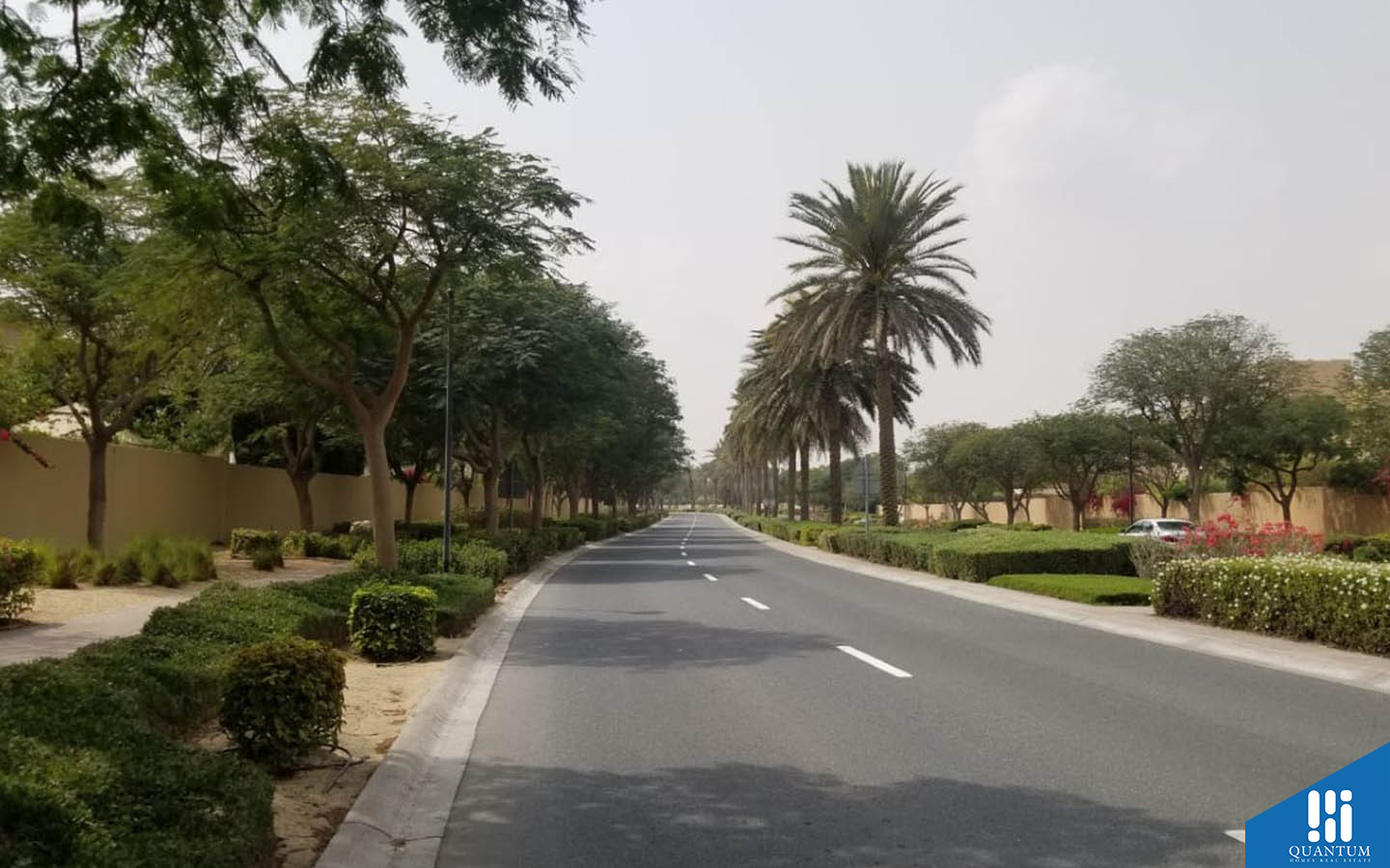 المرابع العربية