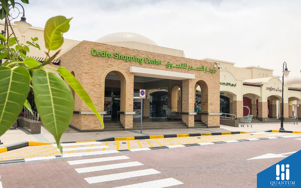 مركز سدر