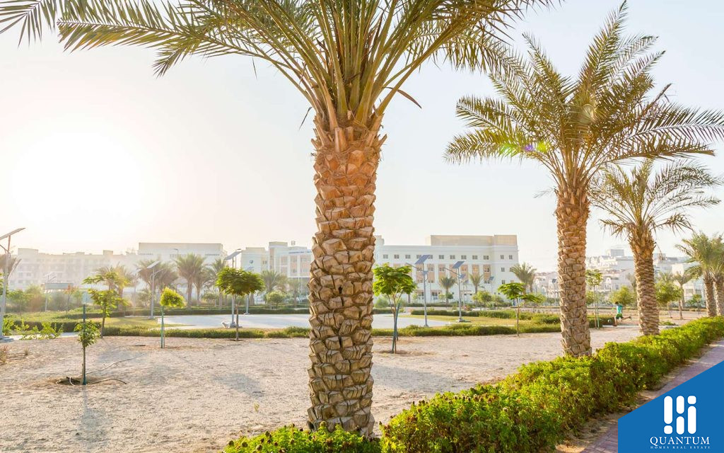 حديقة عامة في دبي
