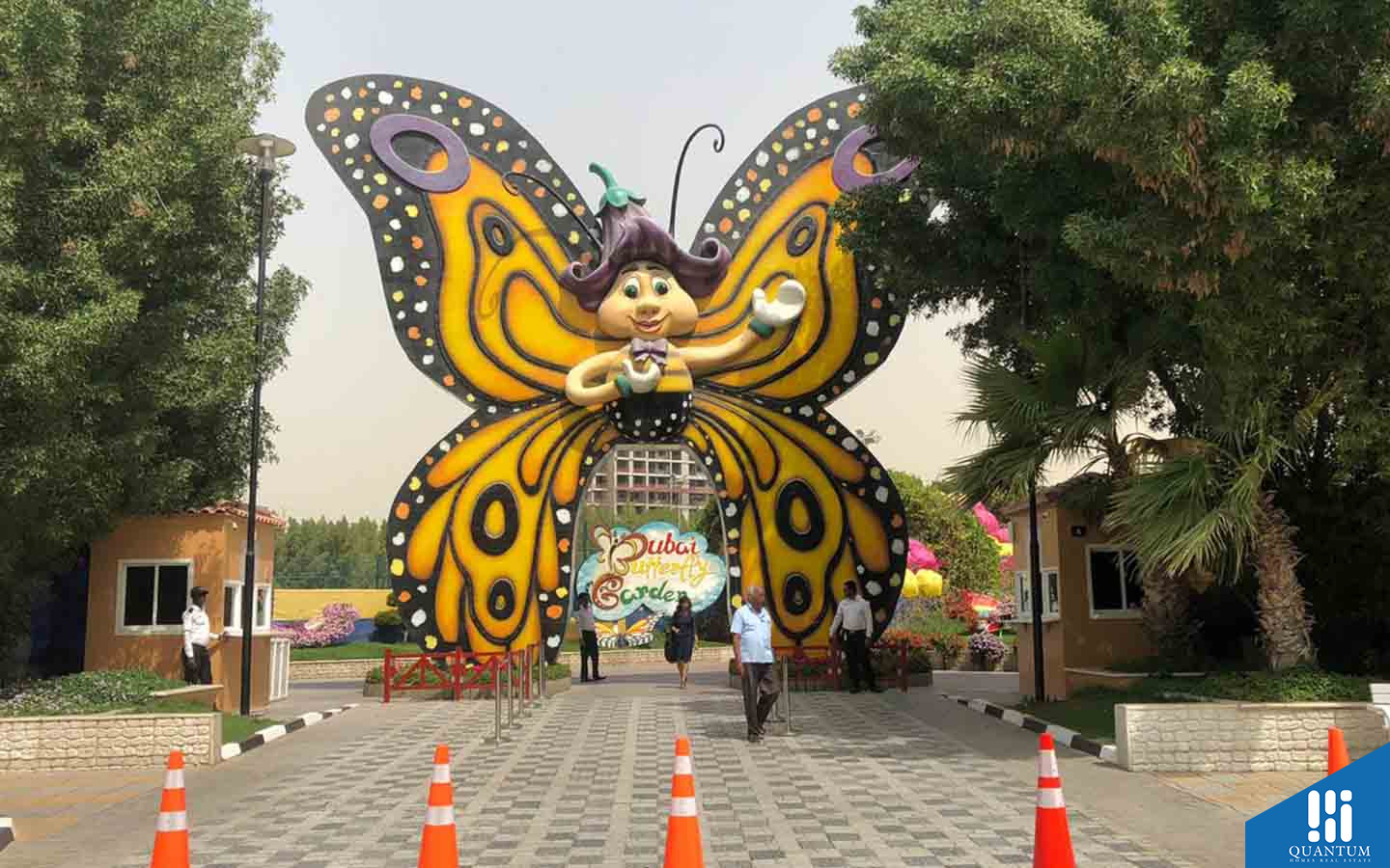 Butterfly Garden