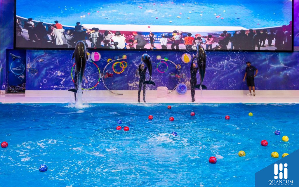 Dubai Dolphinarium