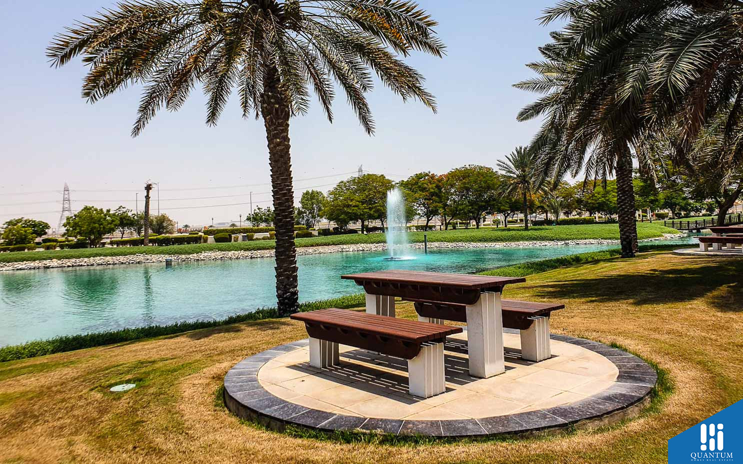 حديقة وبركة