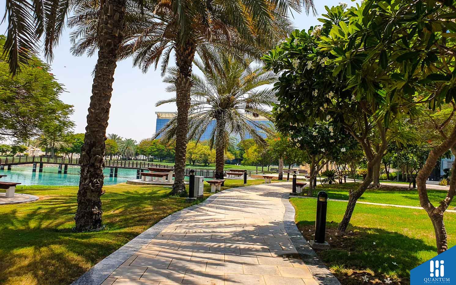 مسارات للركض مظللة بالشجر