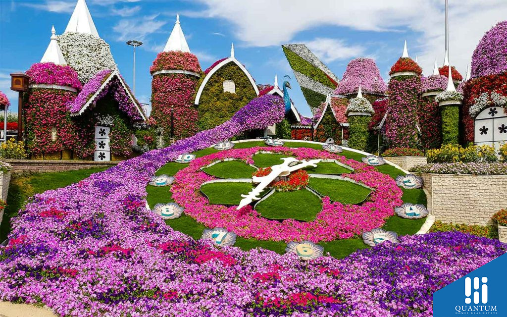 Miracle Garden Dubai