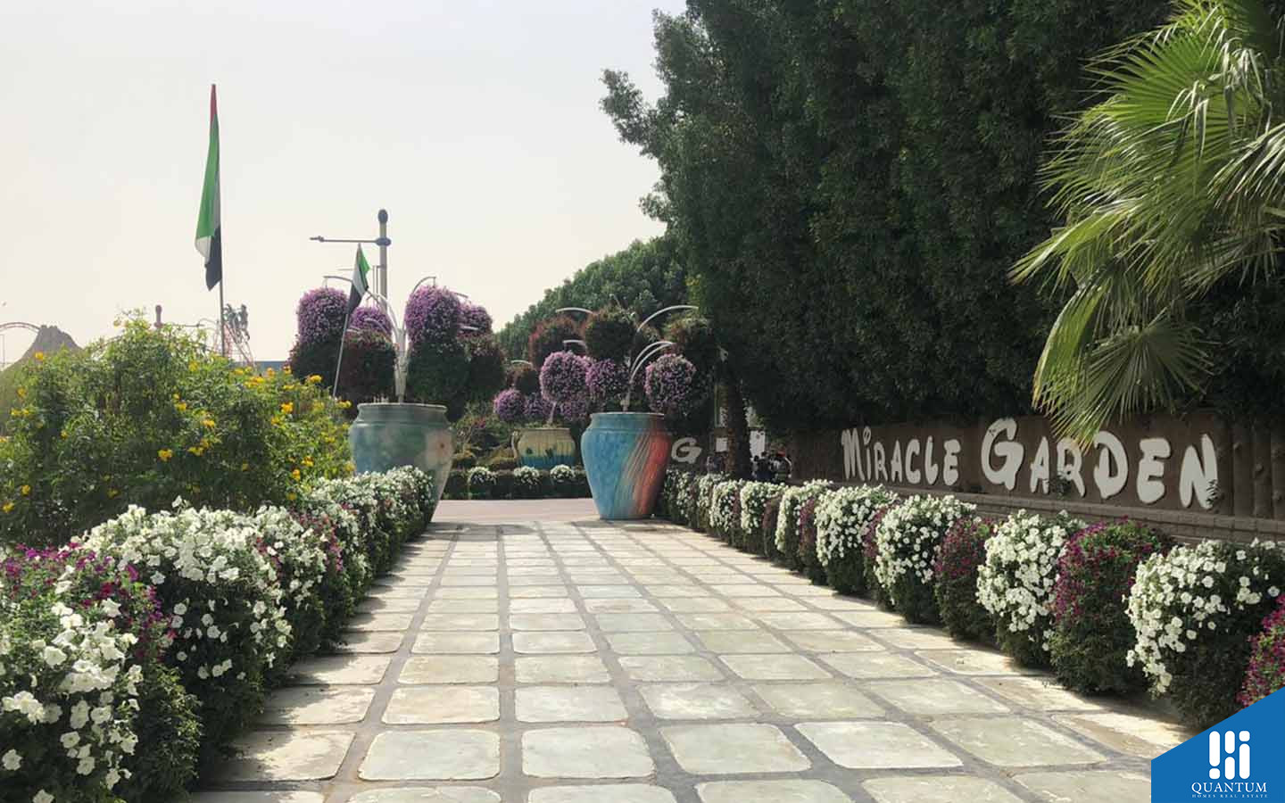 Miracle Garden in Al Barsha South