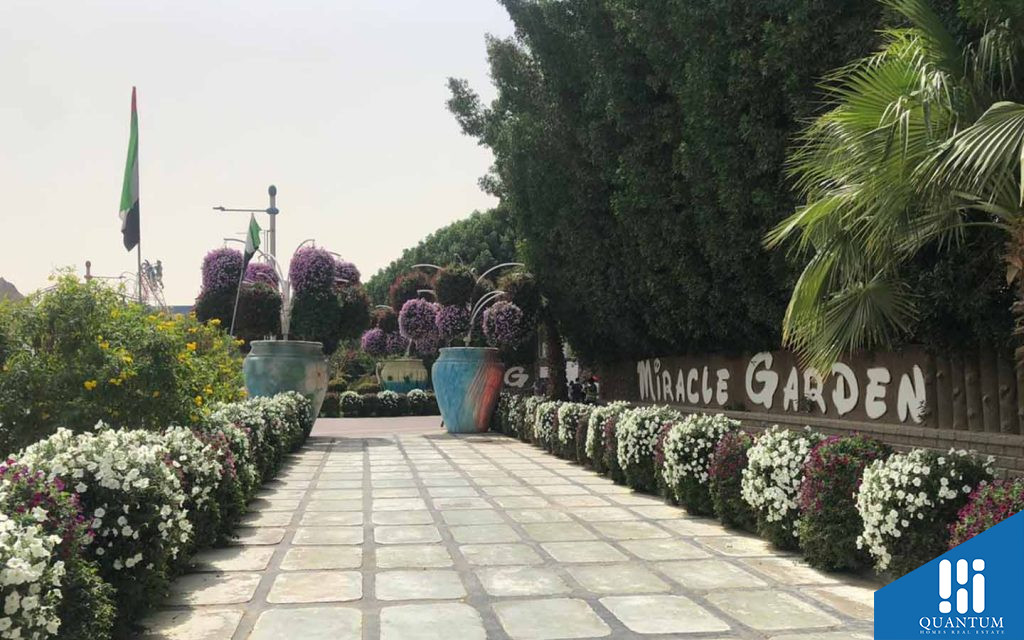 Dubai Miracle Garden requires an 18-minute drive from Mira 2