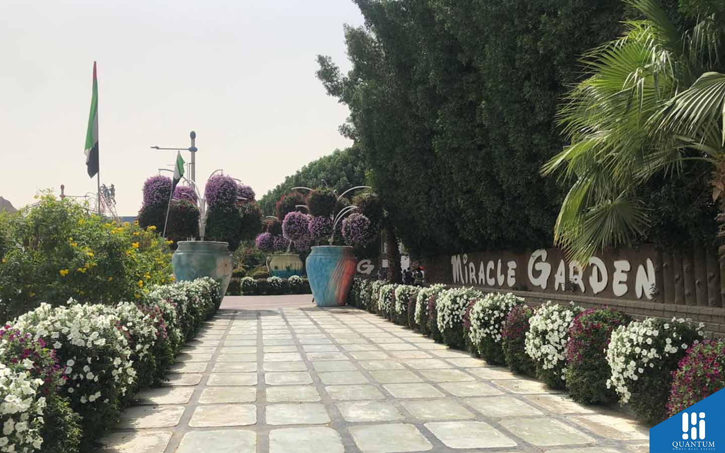 البرشاء جنوب الأولى