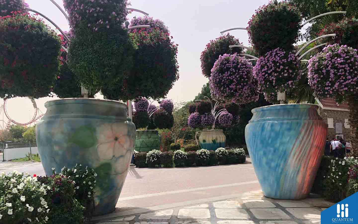 حديقة الزهور
