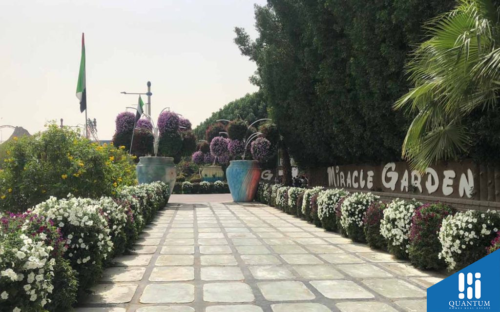 حديقة دبي المعجزة