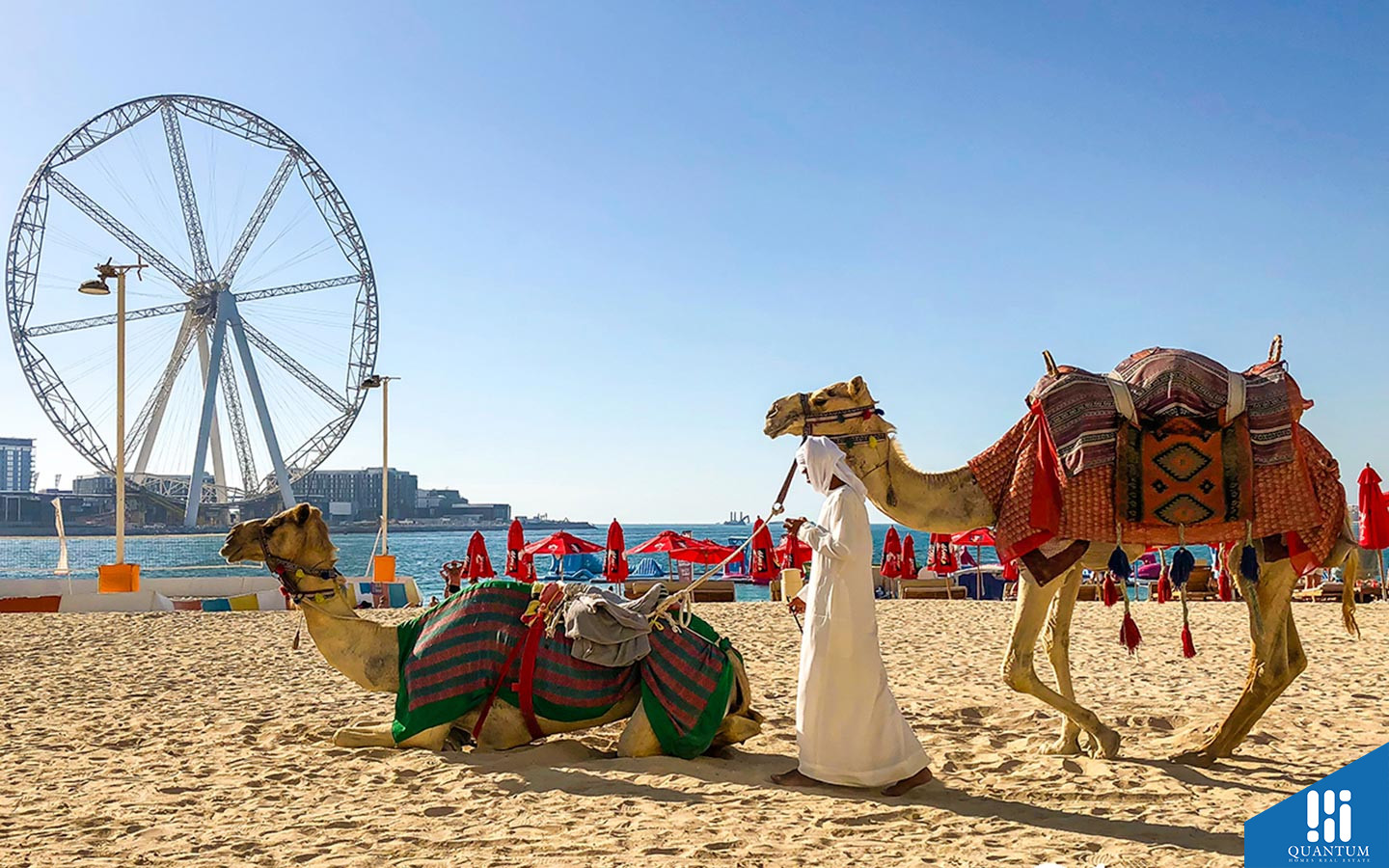 ركوب الخيل والجمال في جي بي آر بيتش