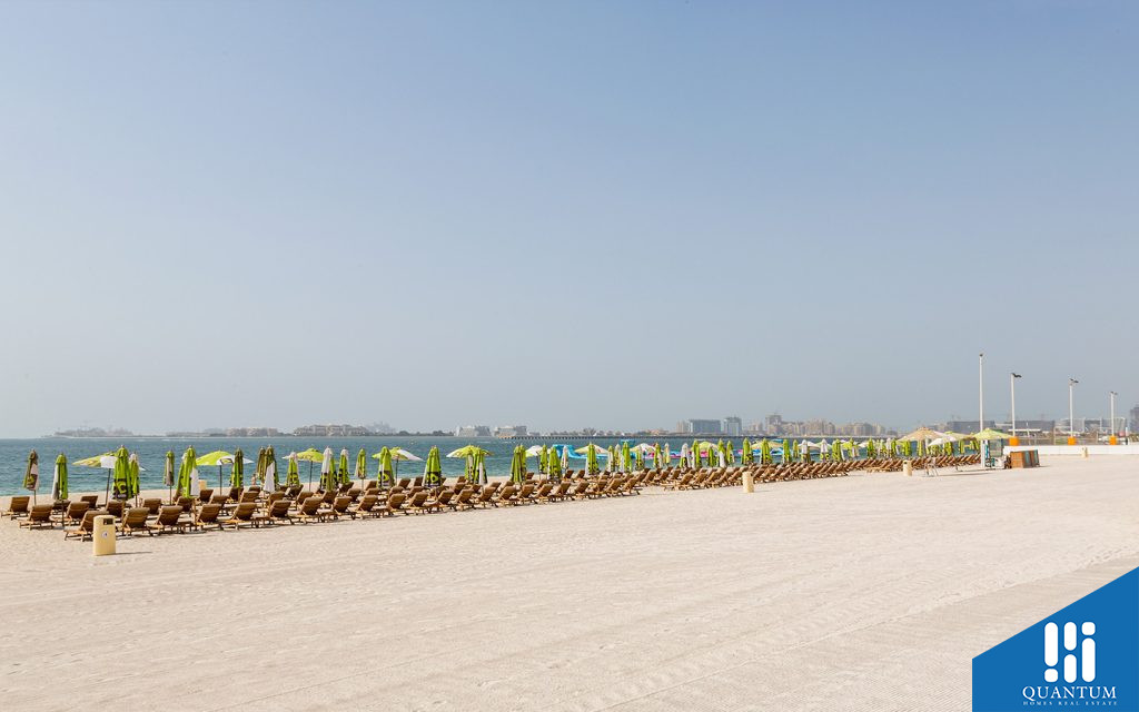 Mira Oasis, Reem