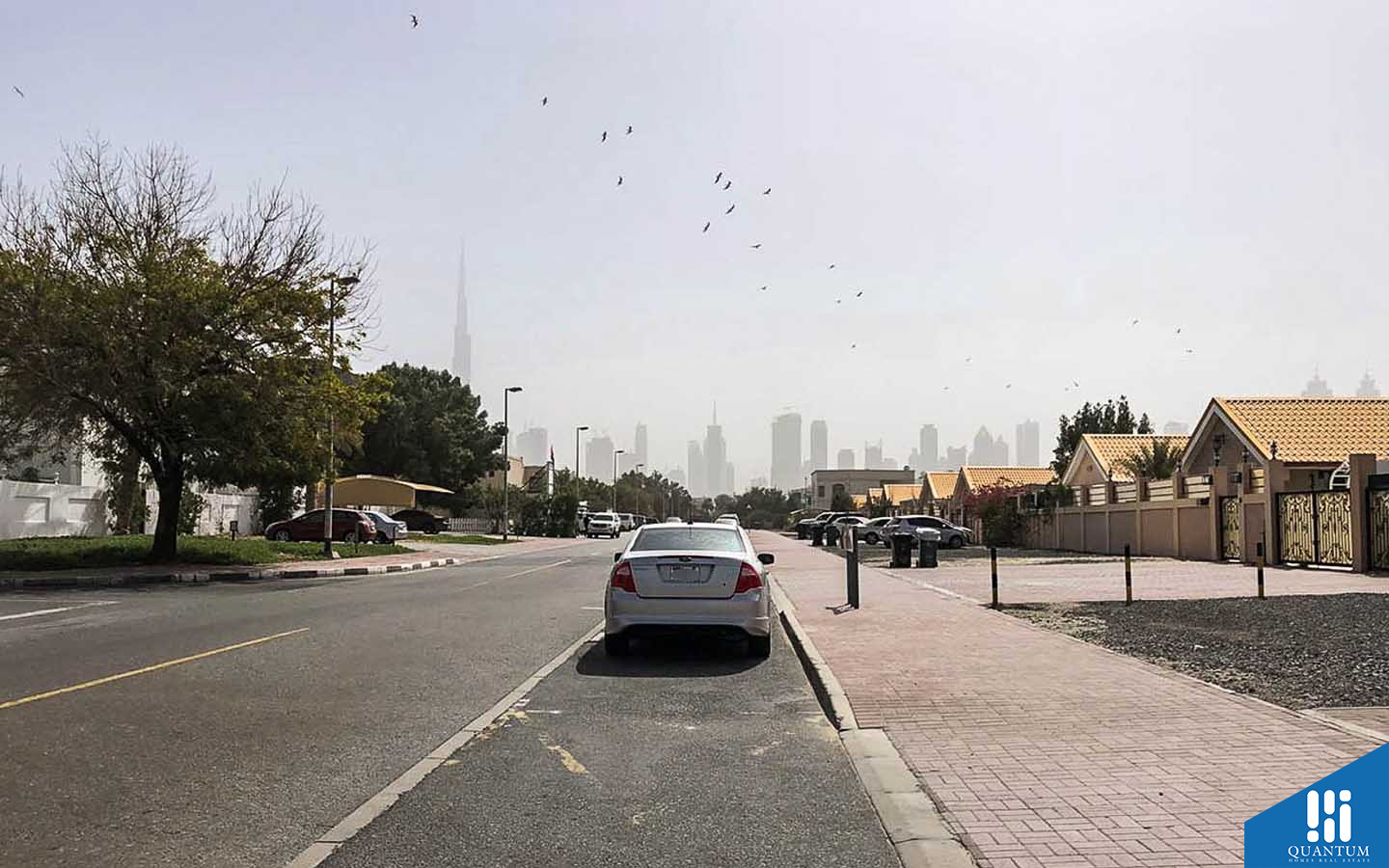 سيارة في الشارع
