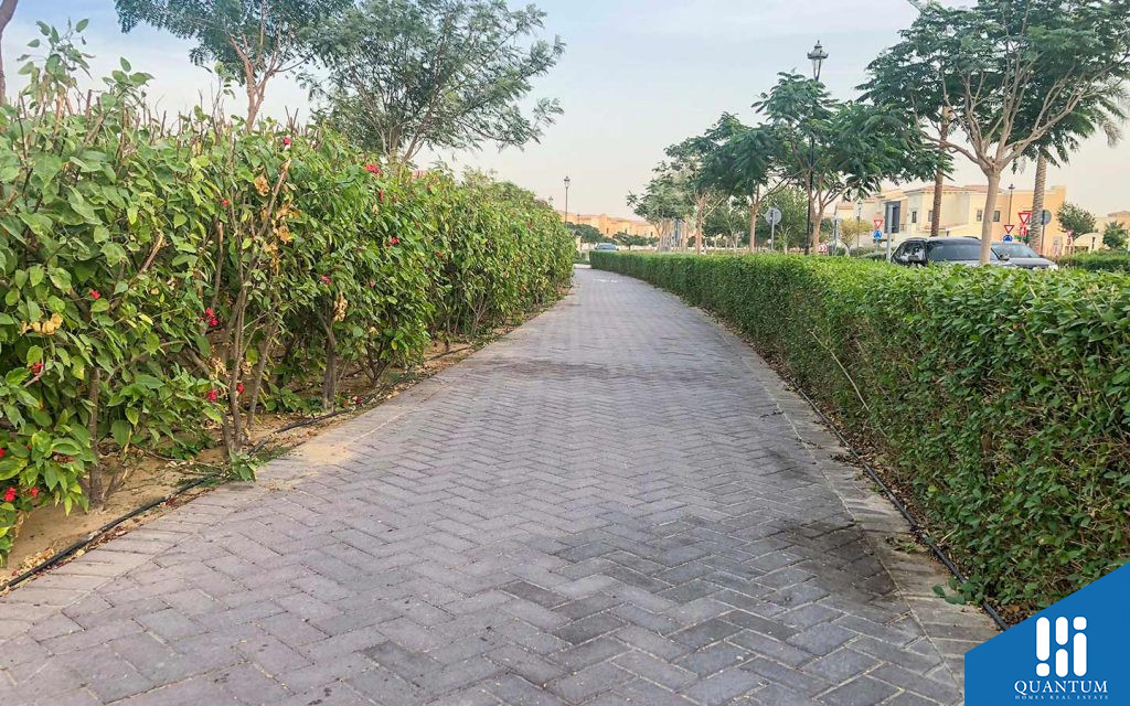 Cycle tracks in Mira, Reem