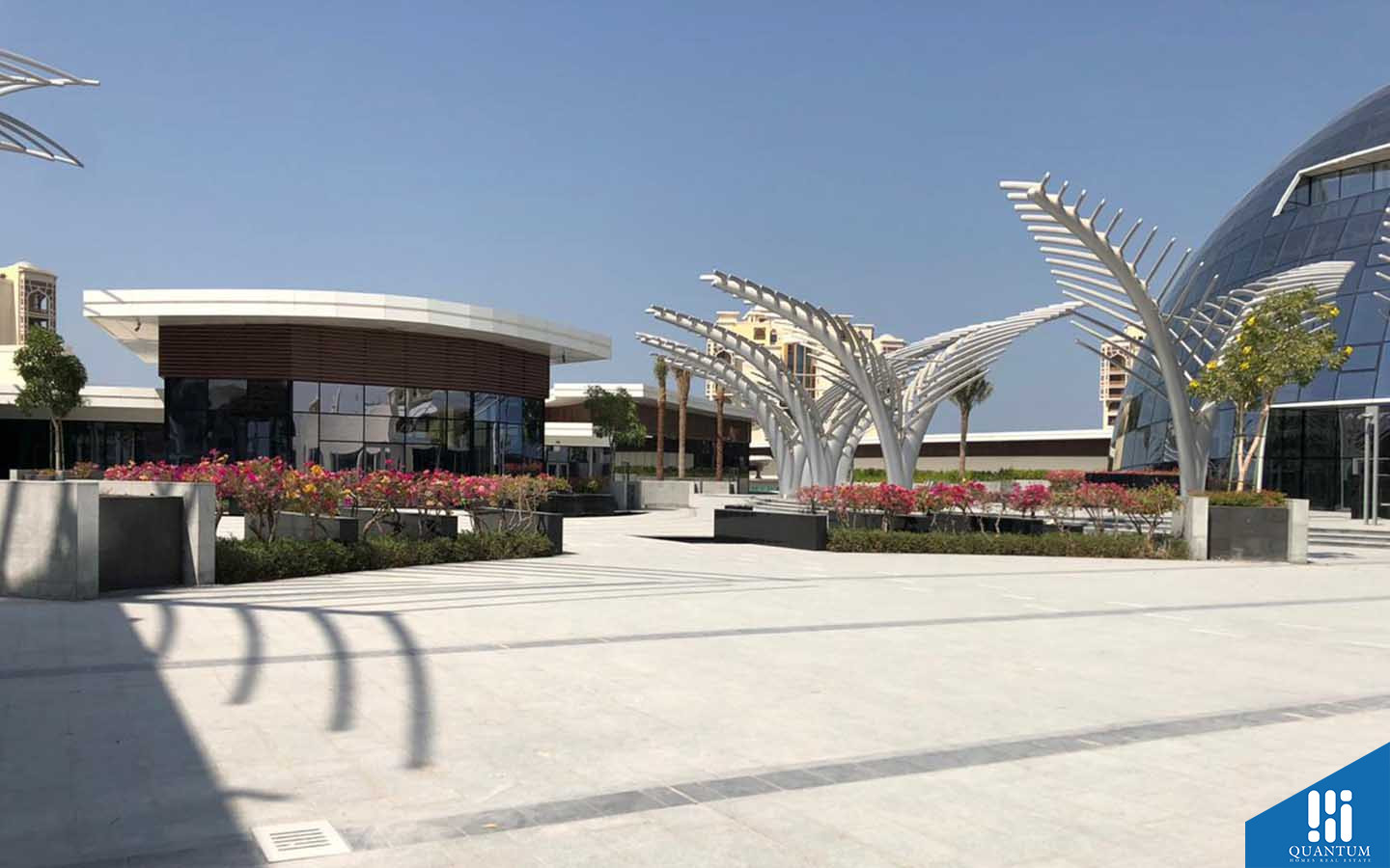 مساحة خارجية في نخيل مول