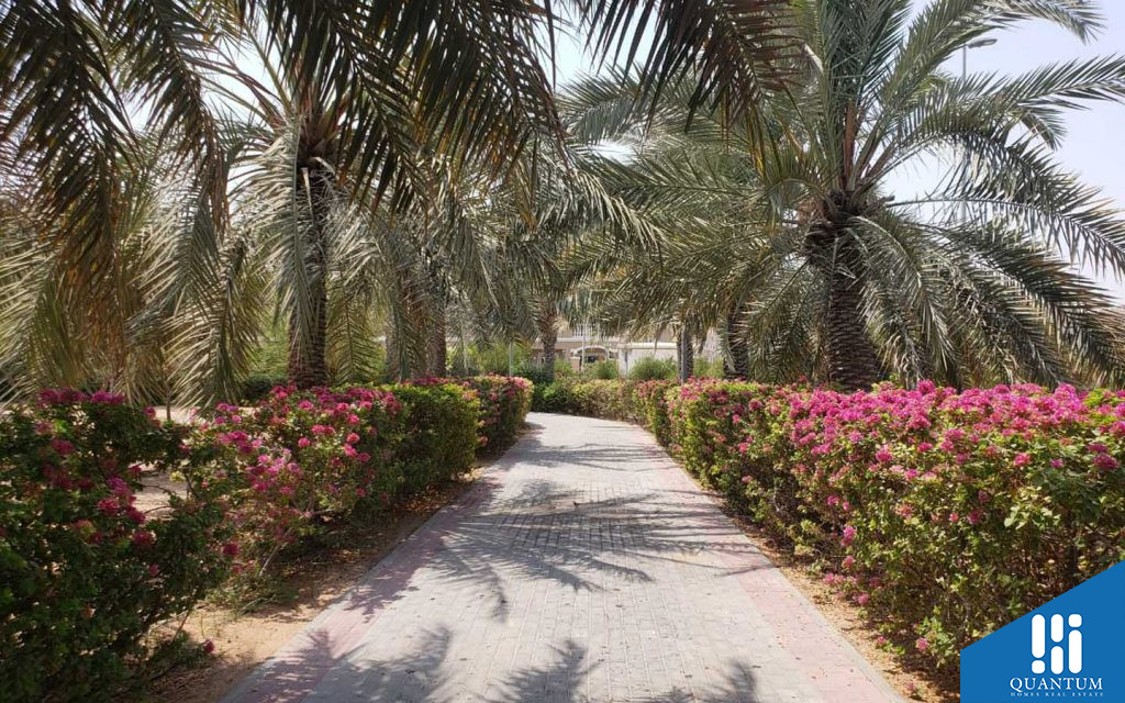 Community Park in JVC