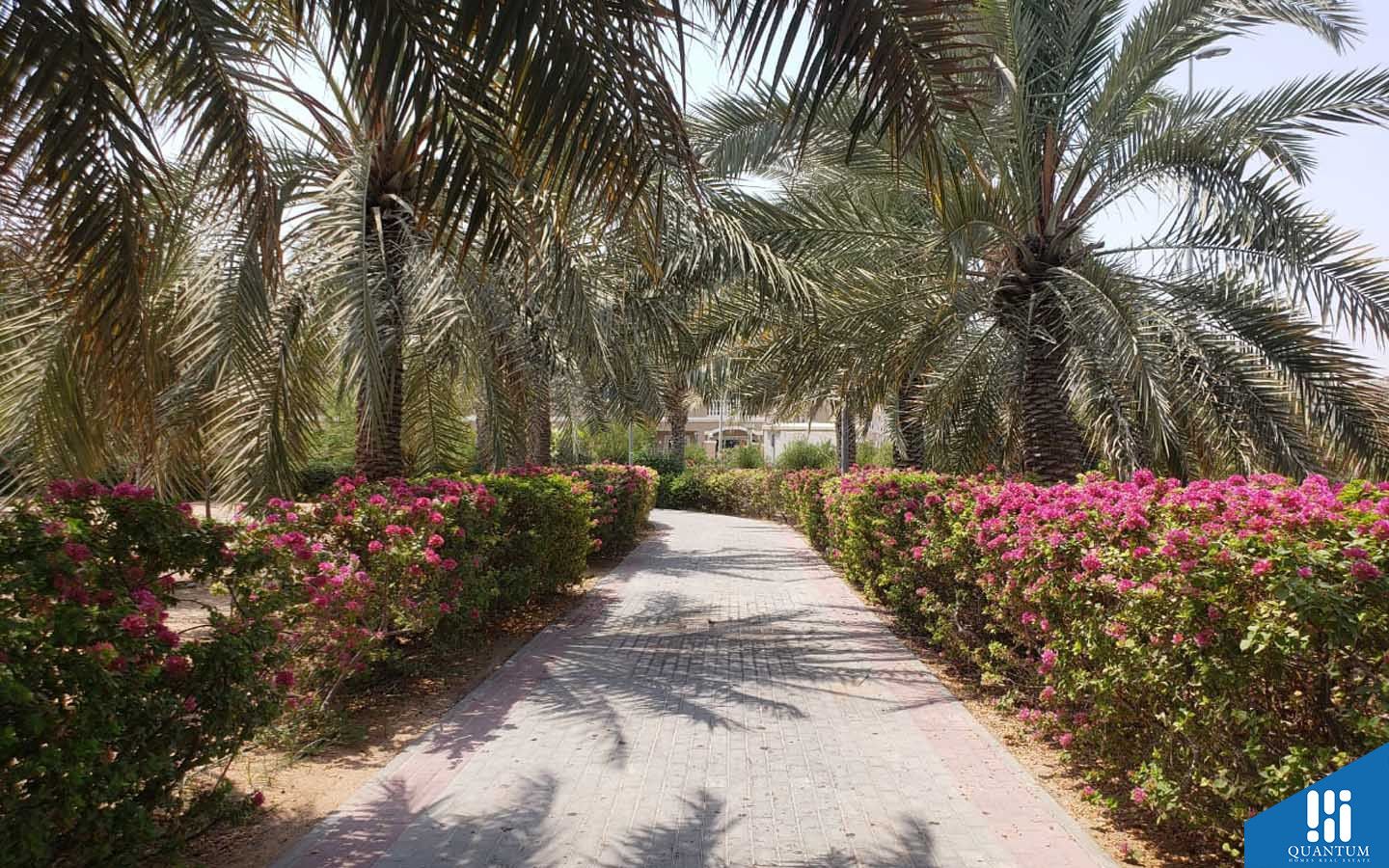 حدائق عامة