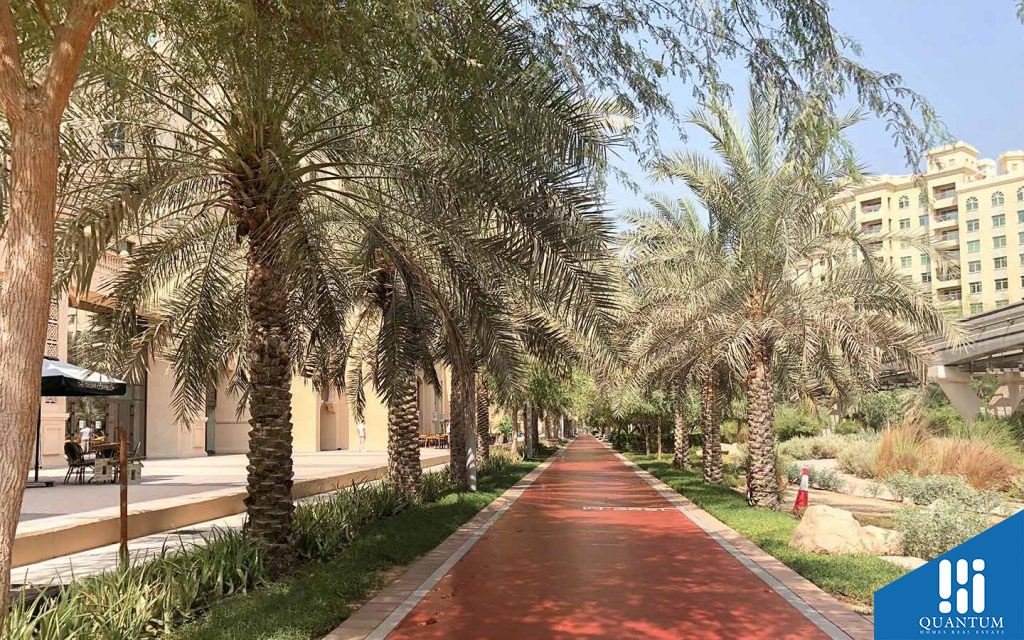 مسارات مرصوفة للمشي