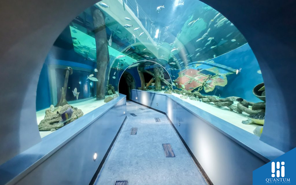 Inside view of Sharjah Aquarium
