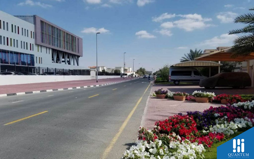 مقطع شارعي لأحد الشوارع الرئيسية