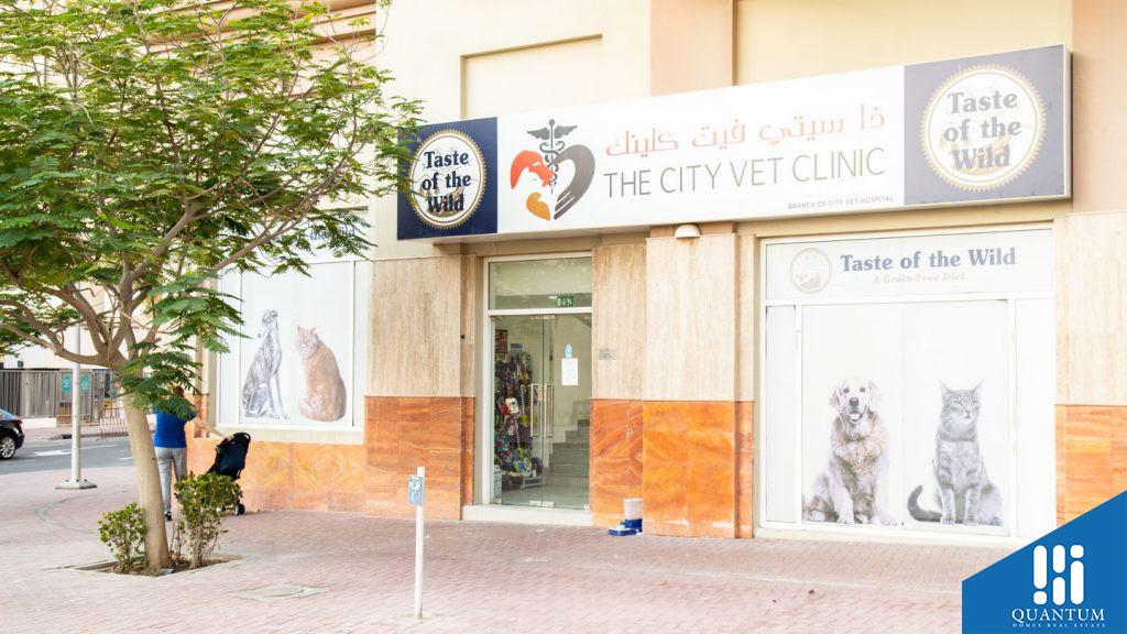 عيادة ذا سيتي فيت كلينك