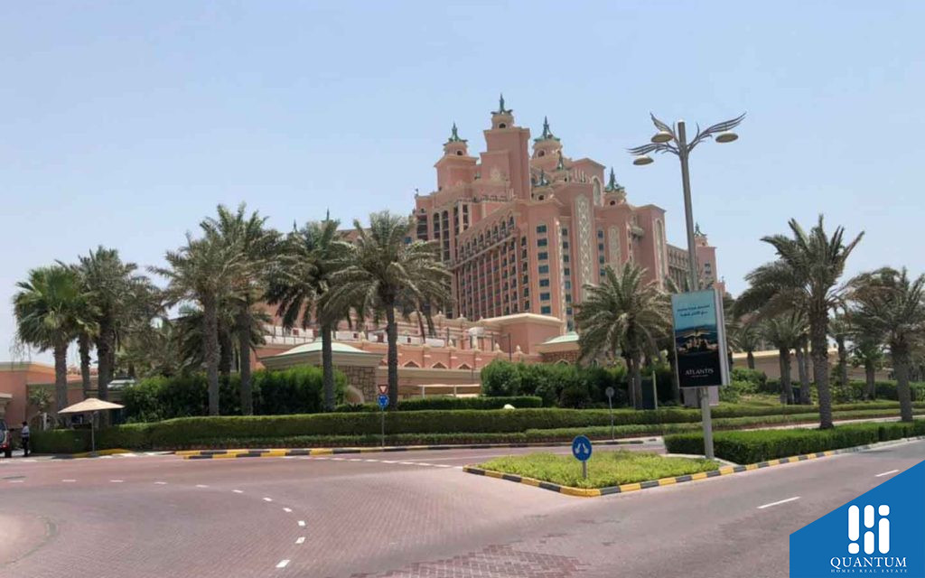 كانال كوف سعفة O، نخلة جميرا