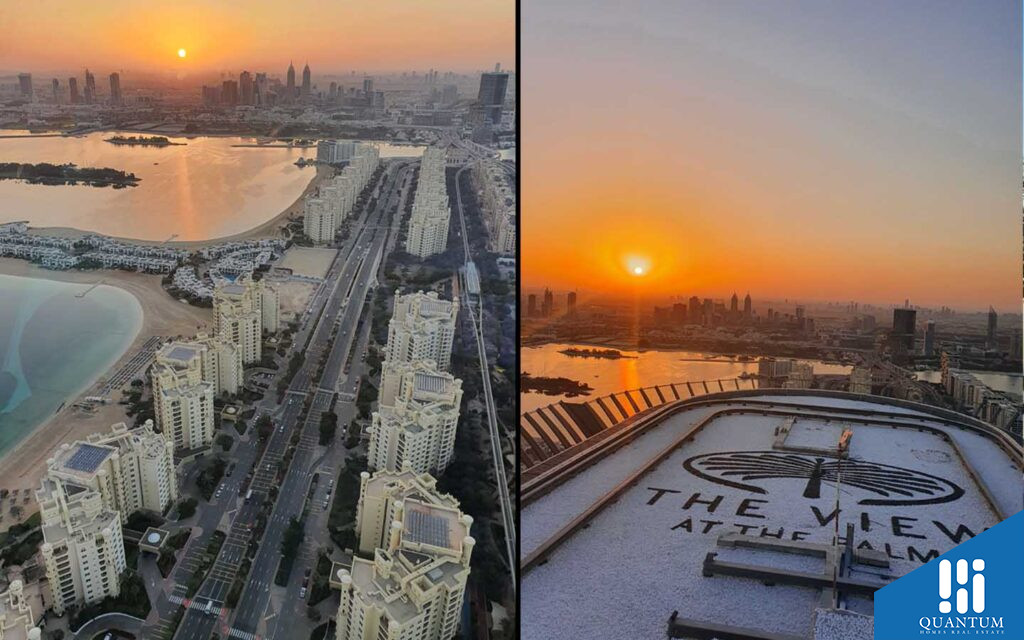 ذا فيو آت ذا بالم