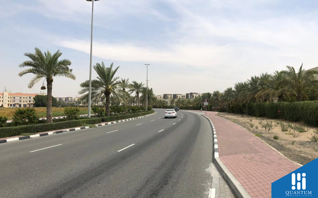 شارع رئيسي