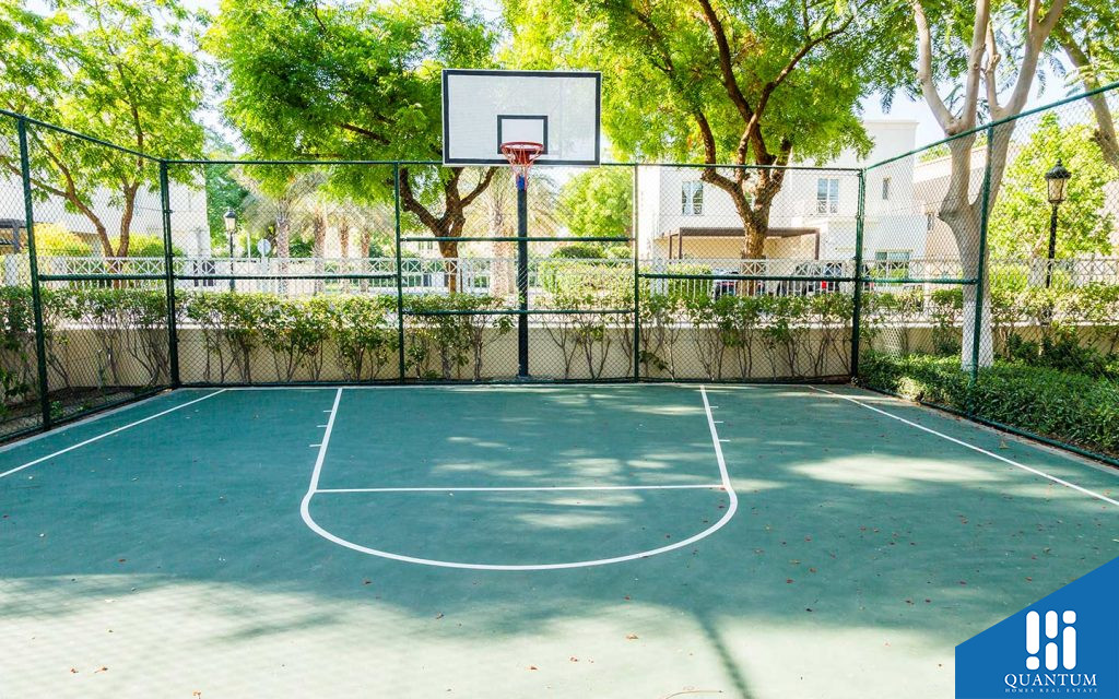 basket ball court in hattan the lakes
