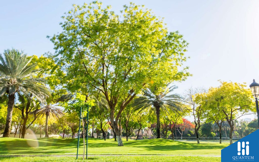 حديقة طبيعية في معين