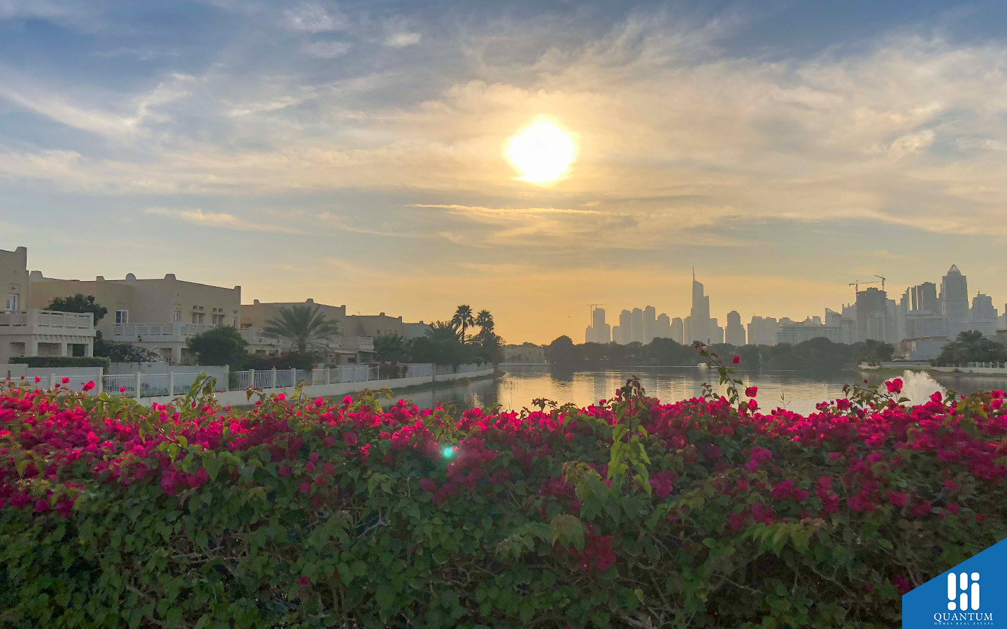 ورود عند البحيرة