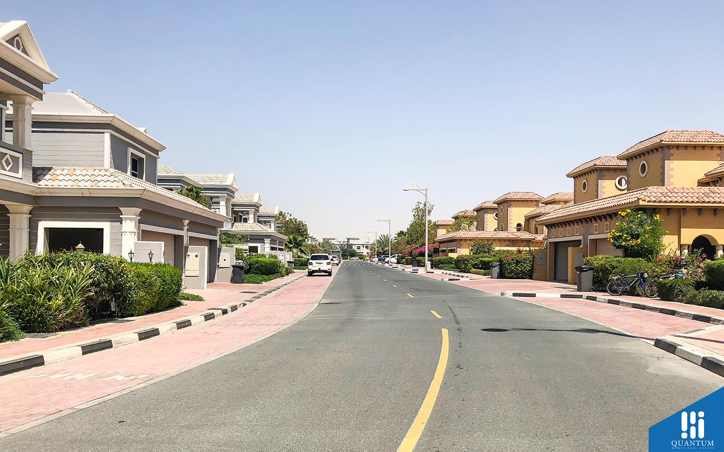 شارع فرعي في المجمع