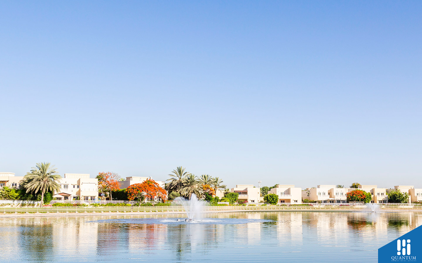 بركة في السهول