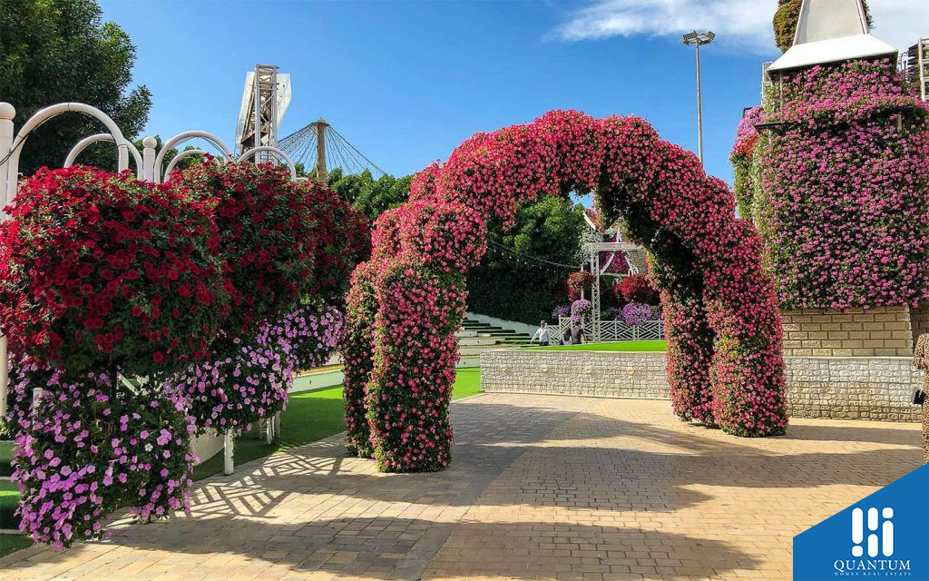dubai miracle garden near parkway vistas