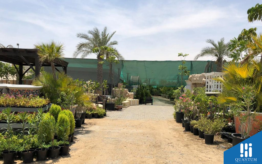 سوق النباتات