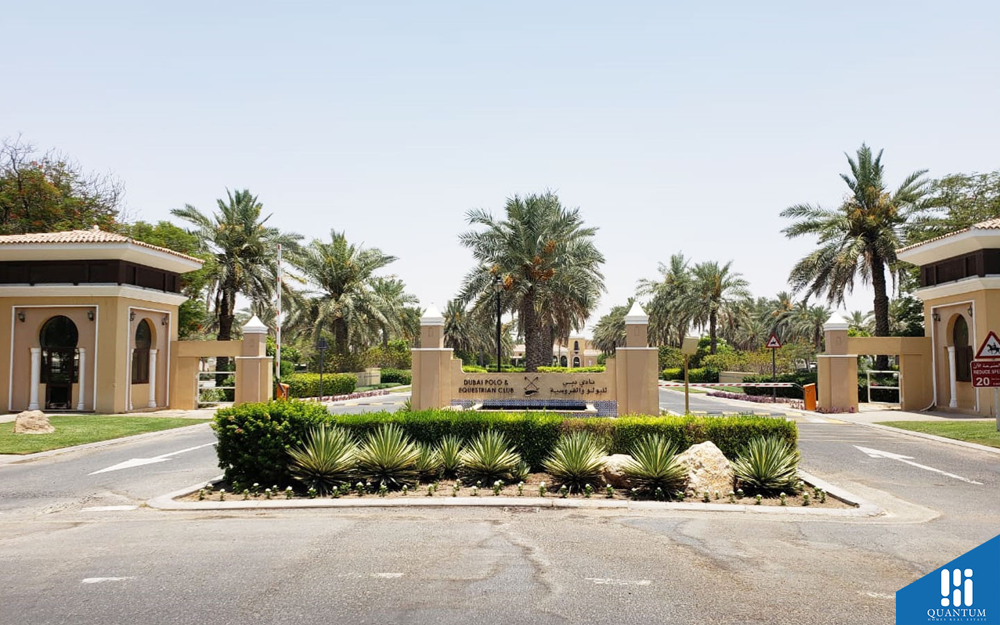نادي دبي للبولو والفروسية