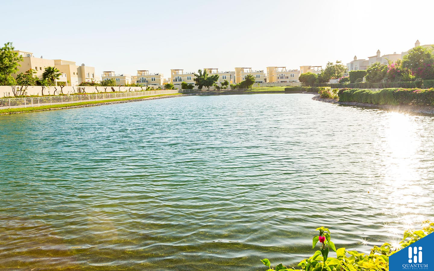 بركة هادئة في مجمع الينابيع 5