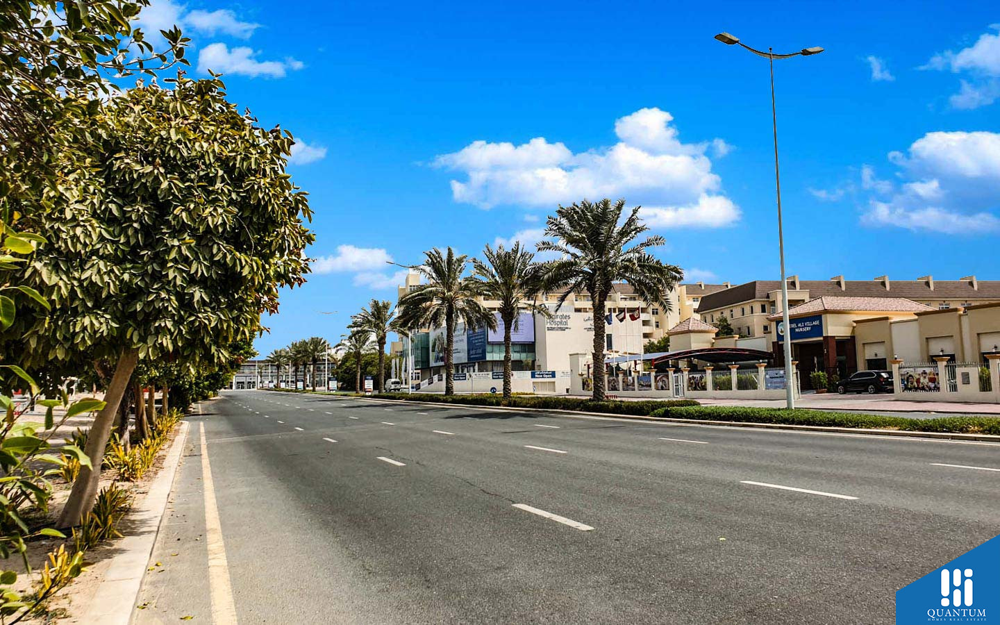 شارع في الينابيع