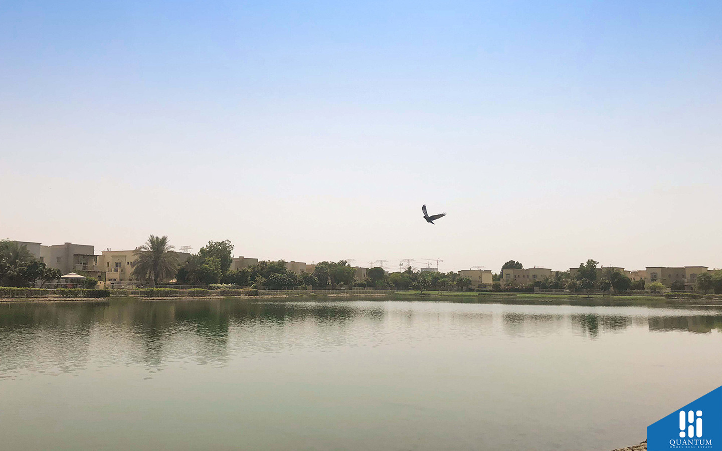 بركة في المجمع