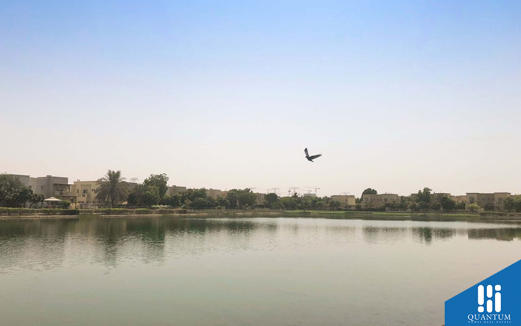 community lake in springs 9 dubai