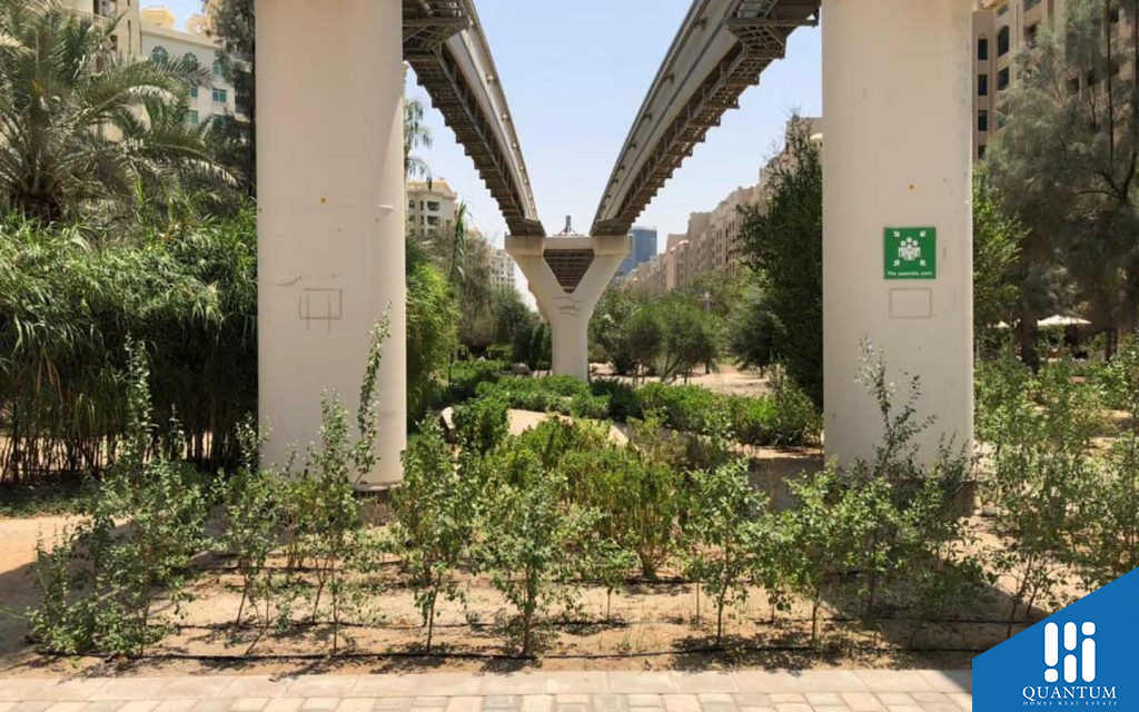 البنية التحتية الخاصة بمونوريل نخلة جميرا في دبي