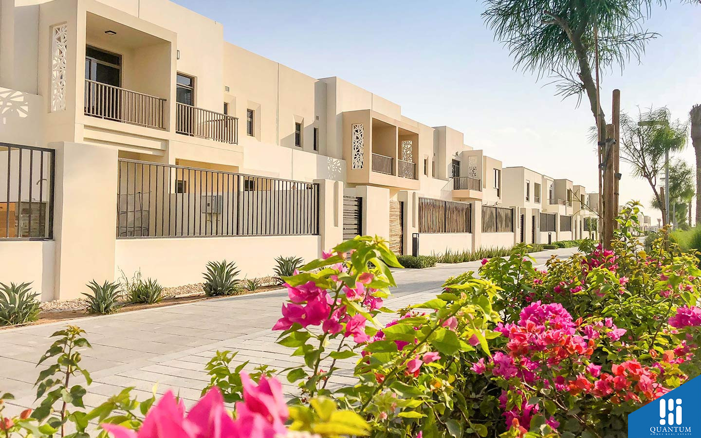 حياة تاون هاوس، تاون سكوير