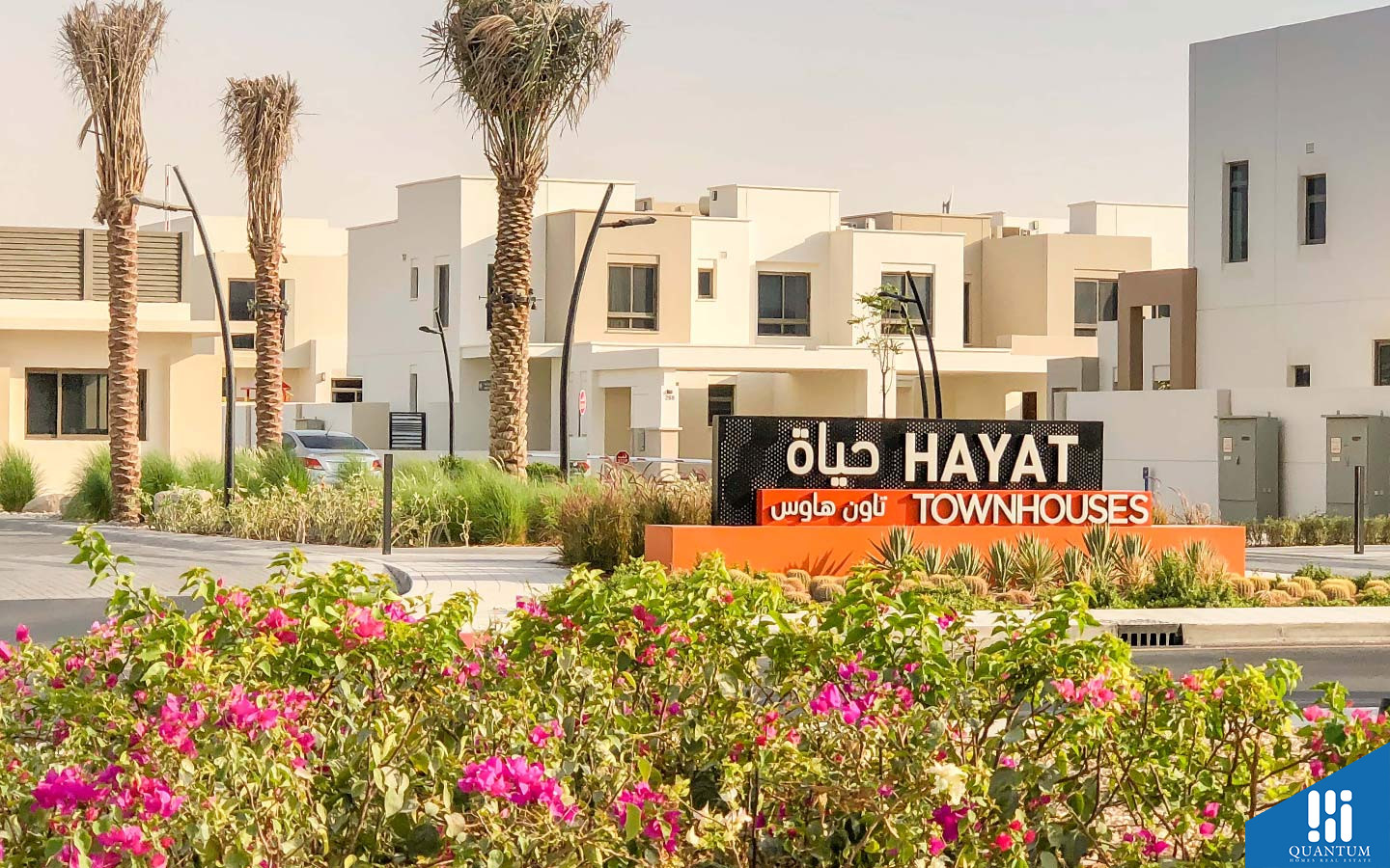 حياة تاون هاوس