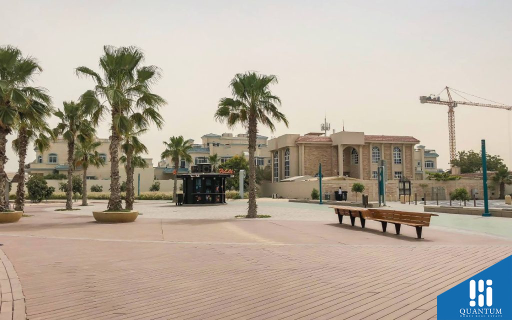 أشجار نخيل