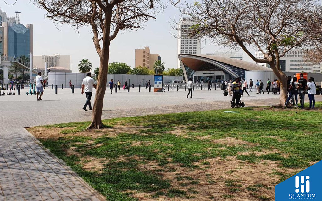 المرقبات